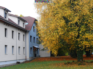 Image modifiée sur 8 bits.