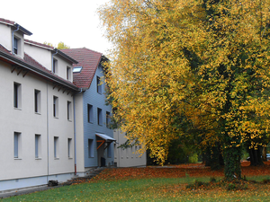 Image modifiée sur 1 bit de poids faible.